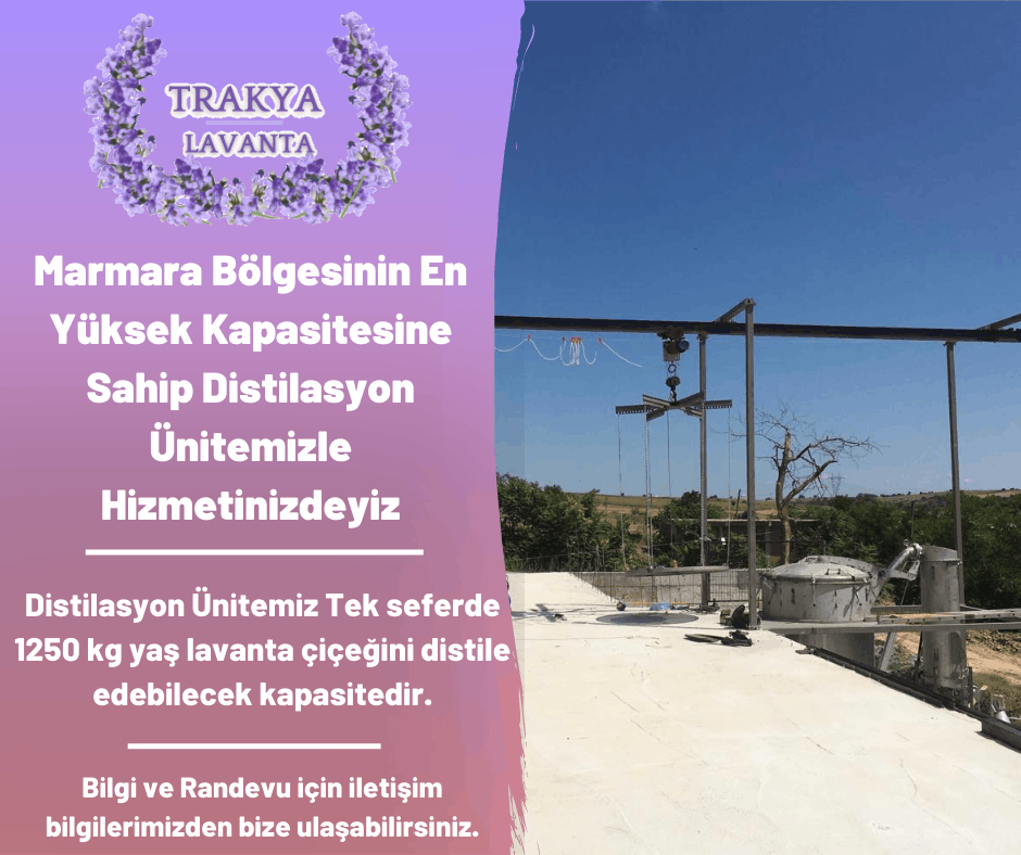 Distilasyon