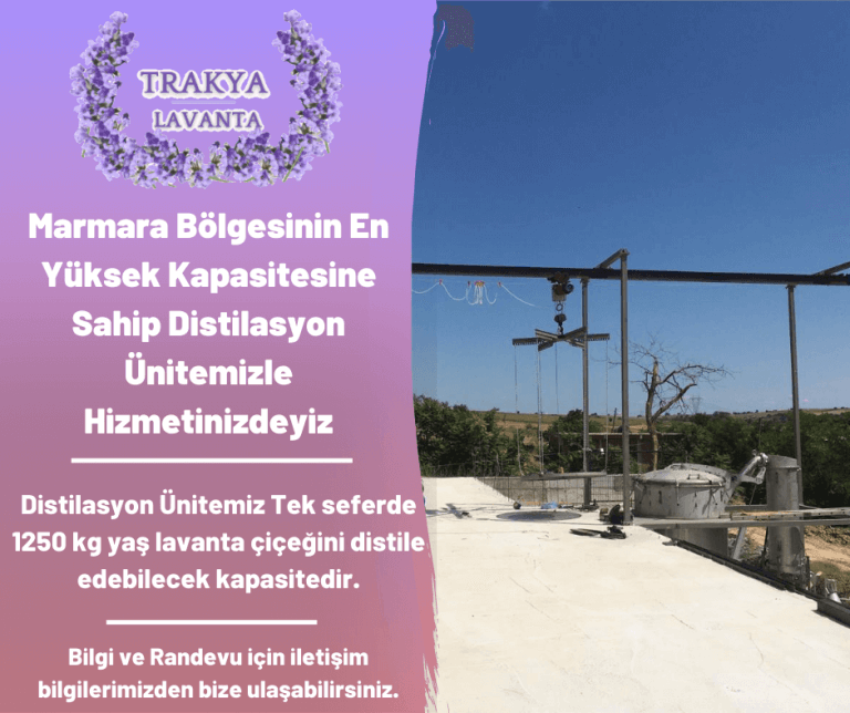 Lavanta Distilasyon Ünitesi