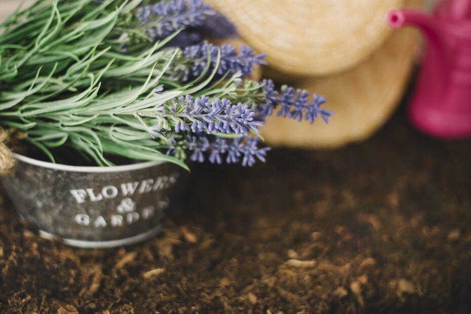 metal flower pot close up